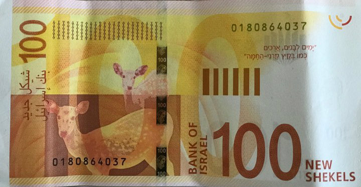 shekal-ghazella98.jpg (74 KB)